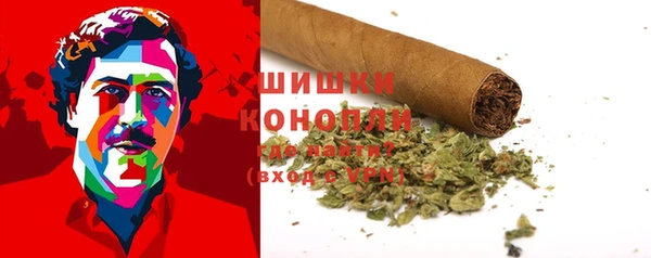 молекула духа Болхов