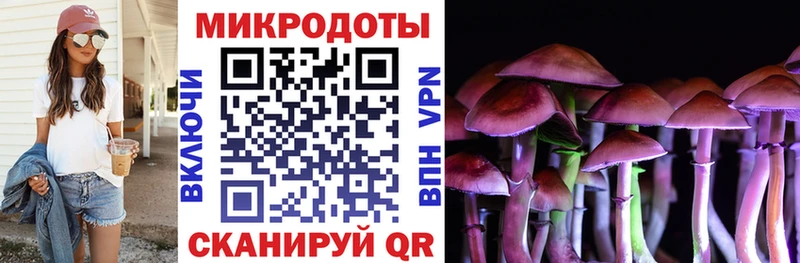 купить наркотик  Балаково  Псилоцибиновые грибы Magic Shrooms 