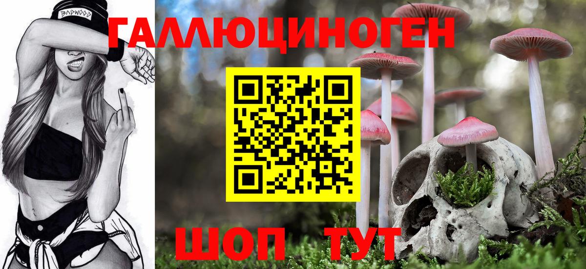 Балаково  Галлюциногенные грибы Magic Shrooms  Вход с VPN 