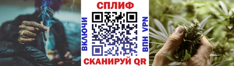 Бошки марихуана сатива  где найти наркотики  Балаково 